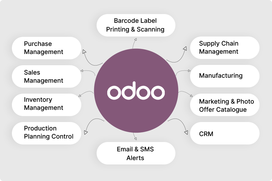 About Odoo: A Complete All-in-One ERP & CRM Platform