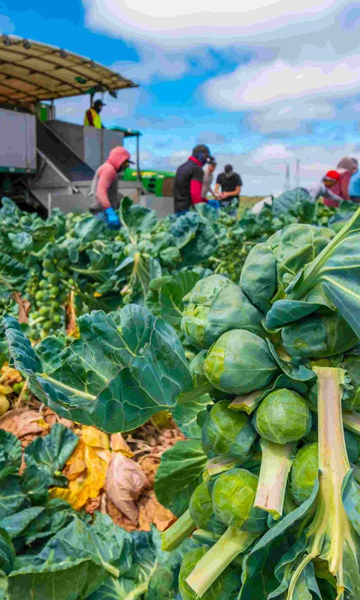 Why Ambient Infotech