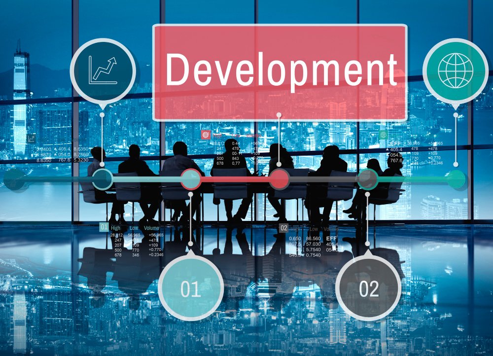 Business owner evaluating software development proposals