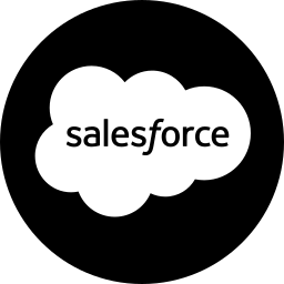 Strong Salesforce Expertise