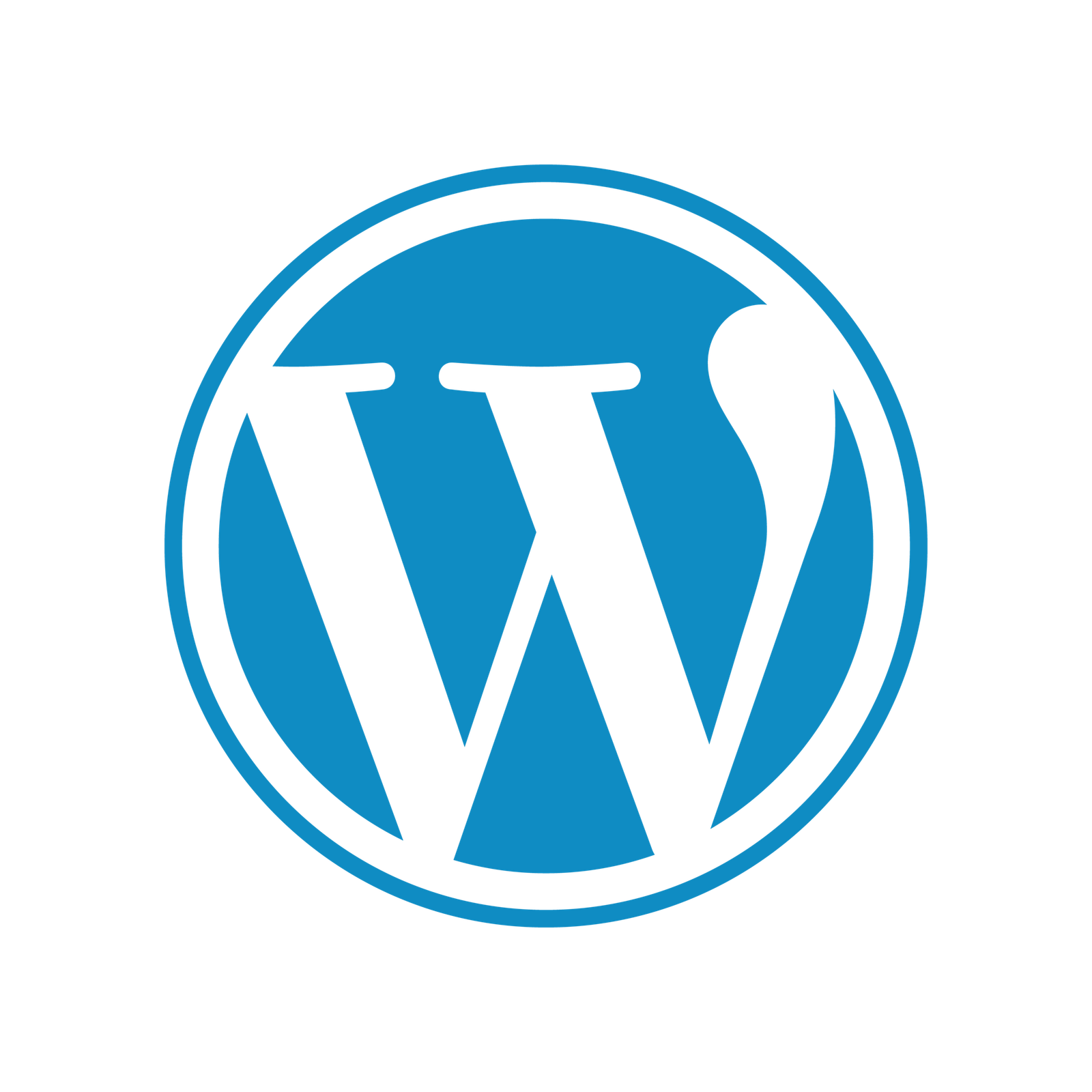 Hire WordPress Developers