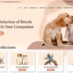 Web Design for Pet Shops creating modern ecommerce websites