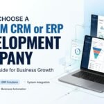 Custom CRM and ERP development dashboards for business management and automation