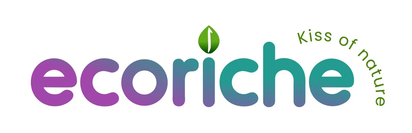  Key Highlights of the EcoRiche E-commerce Platform